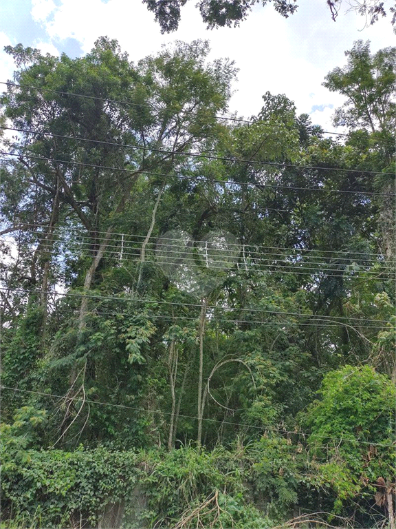 Venda Terreno Mairiporã Serra Da Cantareira REO537400 10