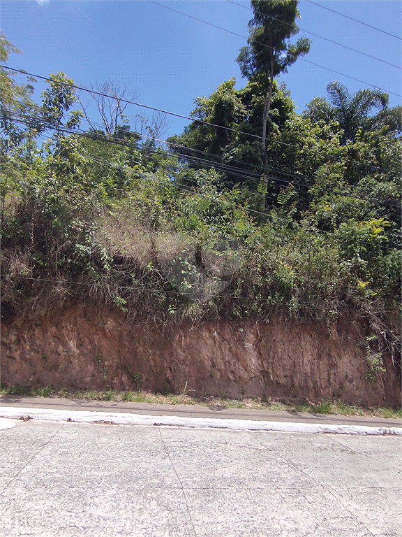 Venda Terreno Mairiporã Serra Da Cantareira REO537400 4