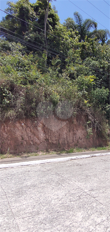 Venda Terreno Mairiporã Serra Da Cantareira REO537400 6