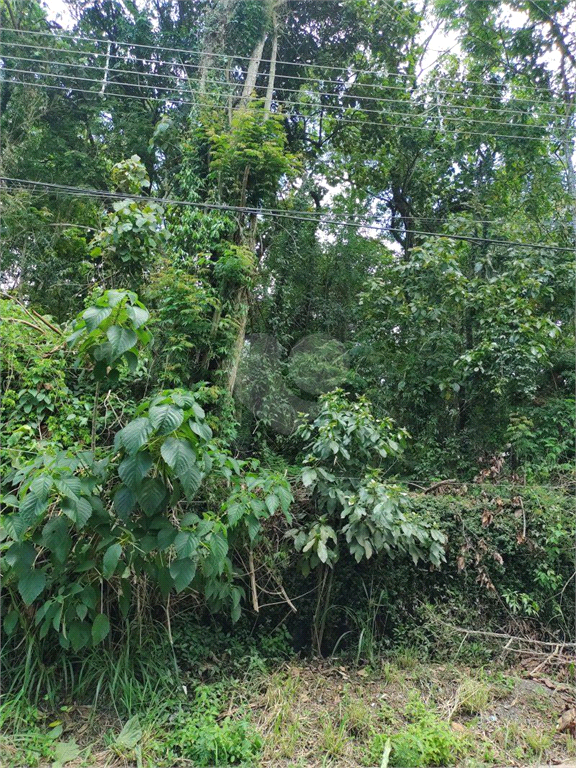 Venda Terreno Mairiporã Serra Da Cantareira REO537400 13