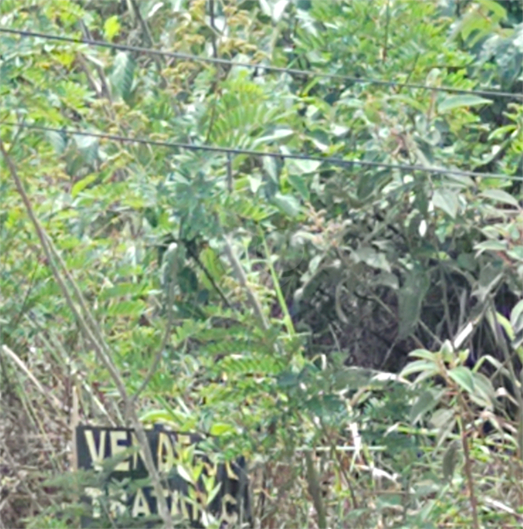 Venda Terreno Mairiporã Serra Da Cantareira REO537400 2