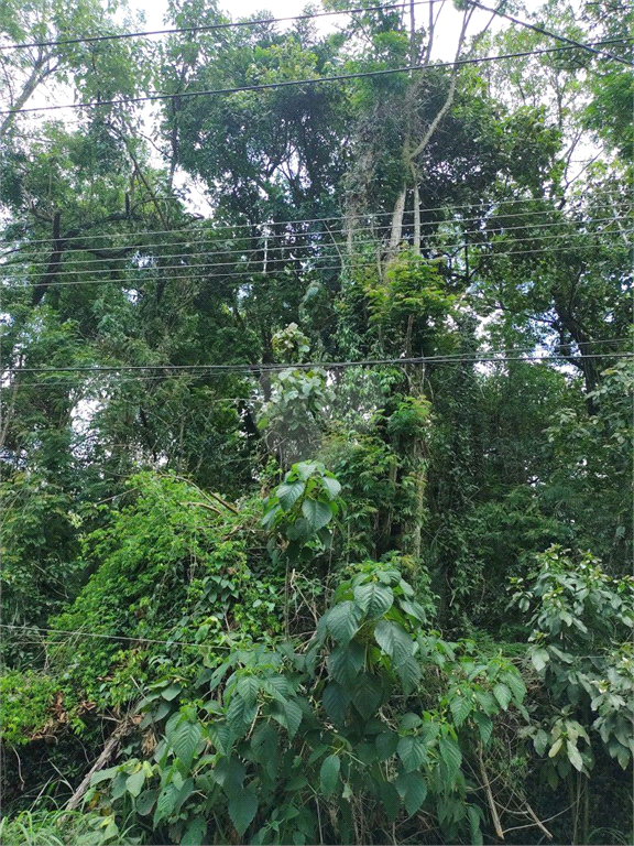 Venda Terreno Mairiporã Serra Da Cantareira REO537400 12