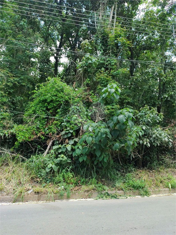 Venda Terreno Mairiporã Serra Da Cantareira REO537400 11