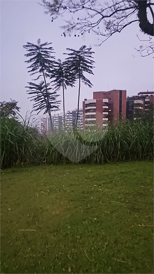 Foto REO538078