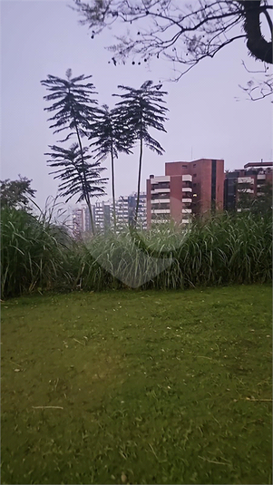Foto REO538078