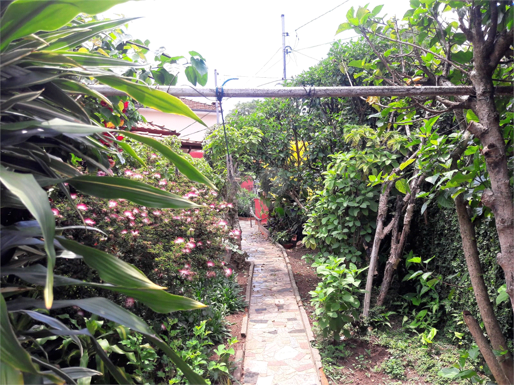 Venda Terreno São Paulo Parque Casa De Pedra REO538651 7