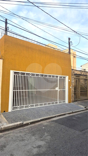 Foto REO538673
