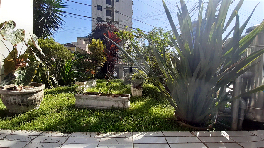 Foto REO538951