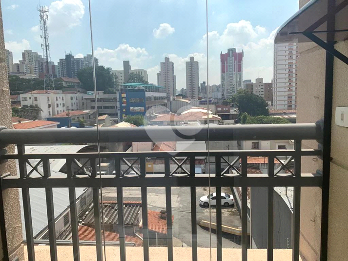 Foto REO539387