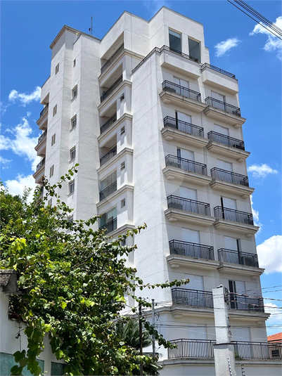 Foto REO539477