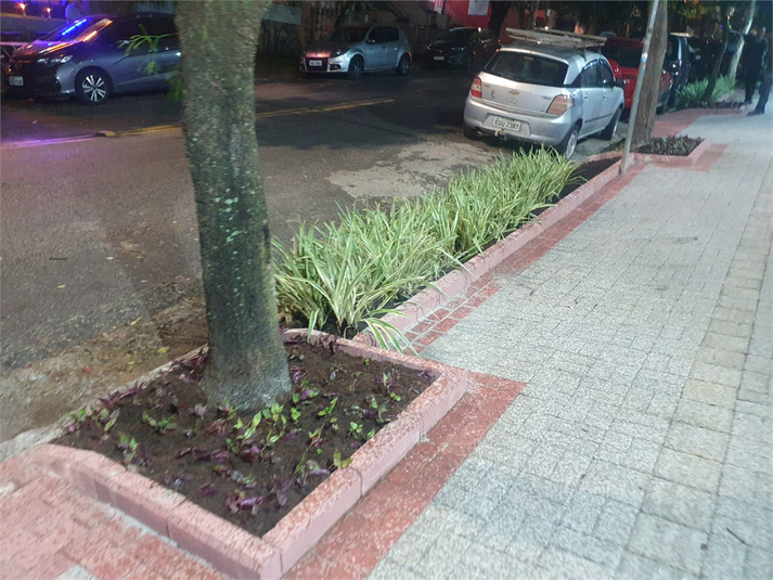 Foto REO539617