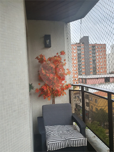 Foto REO539617