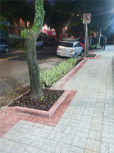 Foto REO539617