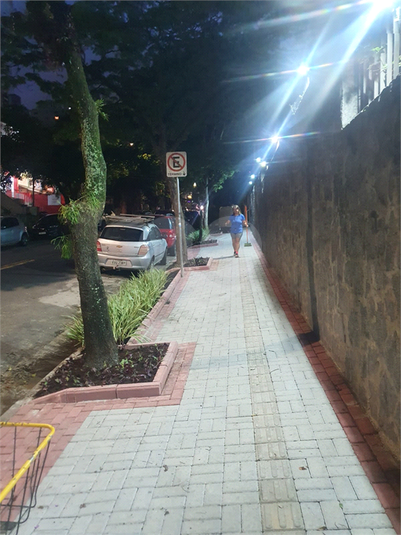 Foto REO539617