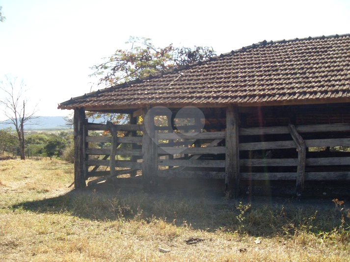 Foto REO539745