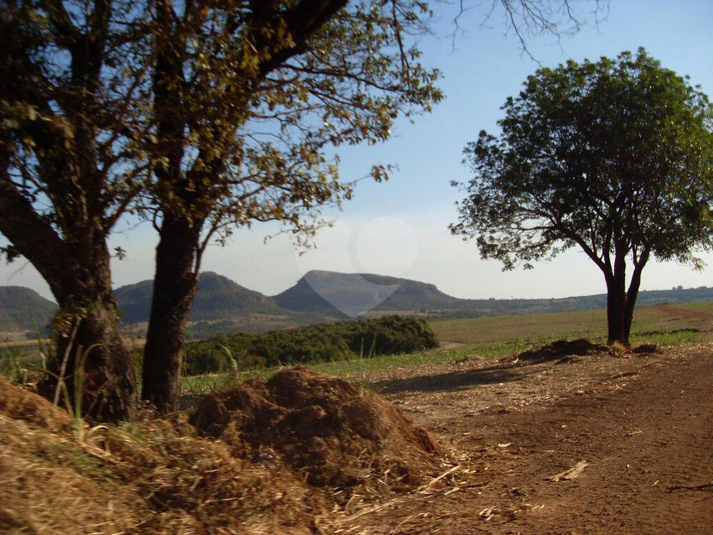 Foto REO539745