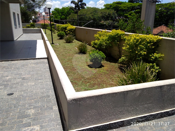 Foto REO539771