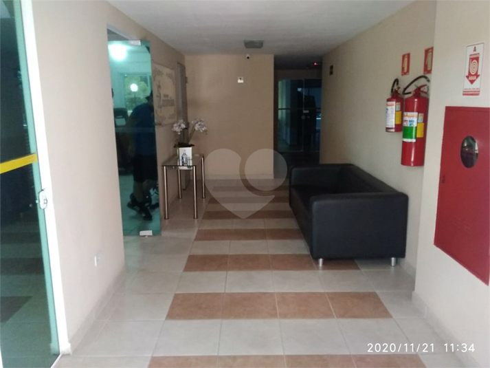 Foto REO539771