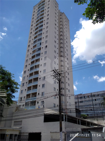 Foto REO539771