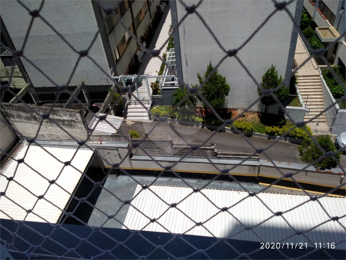 Foto REO539771