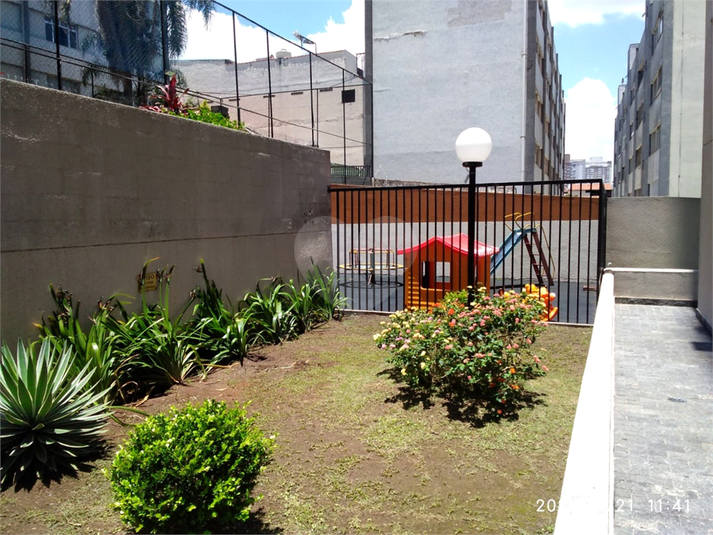 Foto REO539771