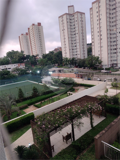 Foto REO540769