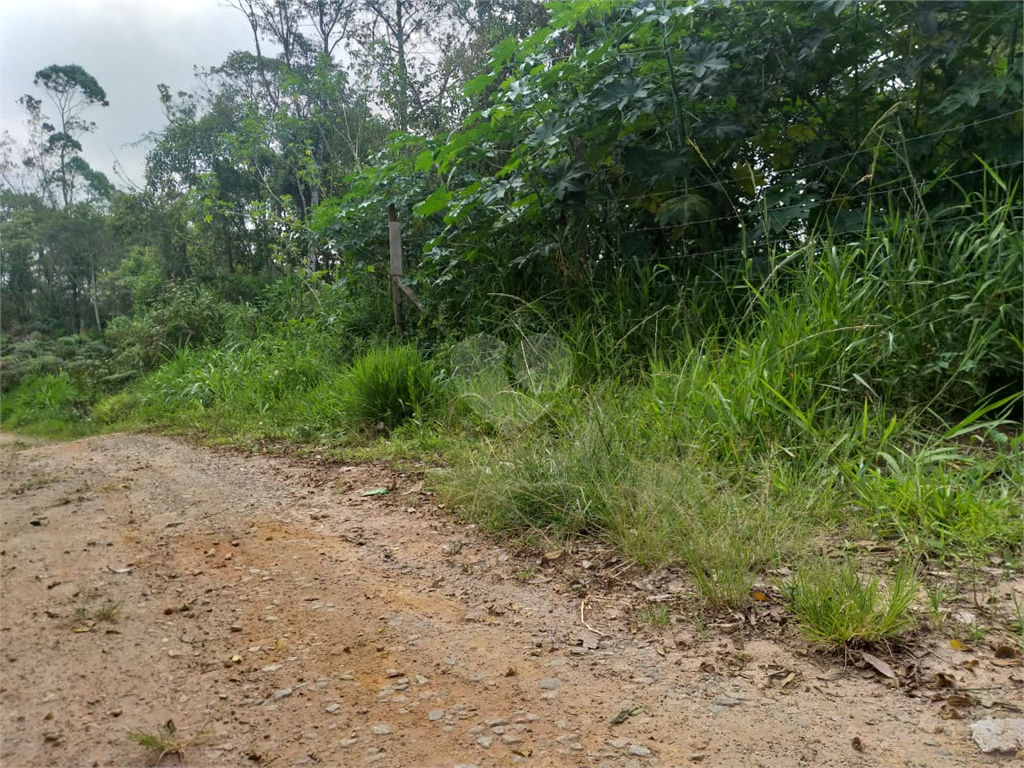 Venda Terreno Ribeirão Pires Roncon REO540822 14