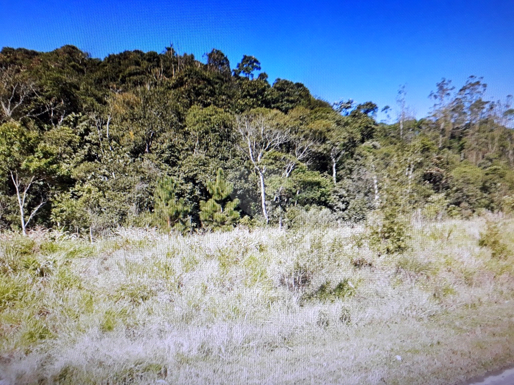 Venda Terreno Ribeirão Pires Roncon REO540822 13