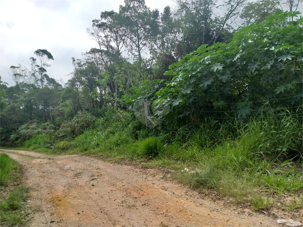 Venda Terreno Ribeirão Pires Roncon REO540822 2