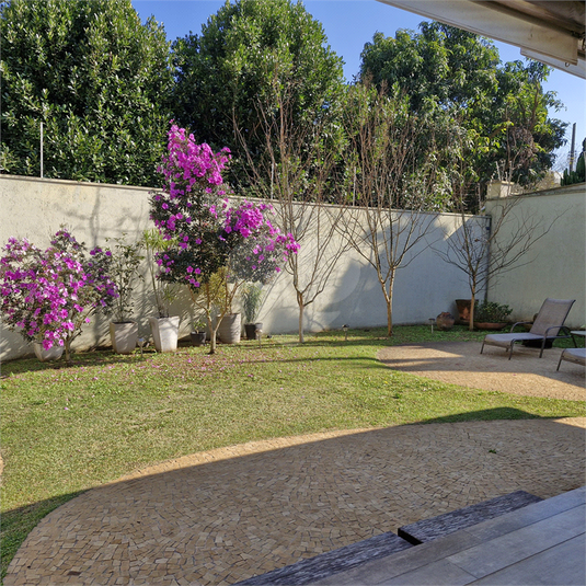 Foto REO541591