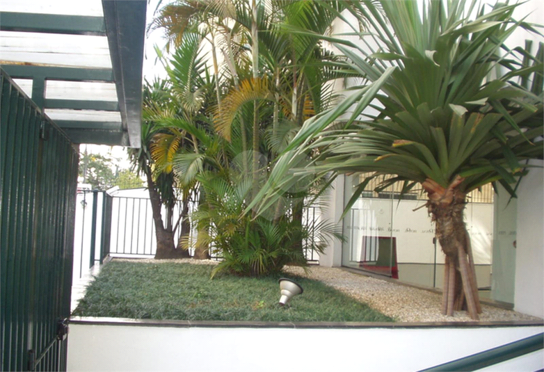 Foto REO541779