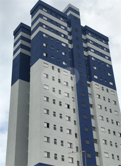 Foto REO541805