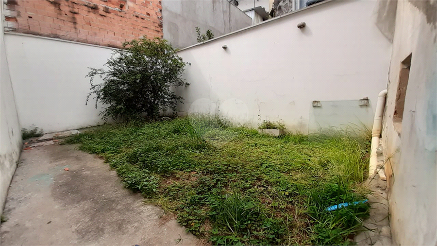 Foto REO541888