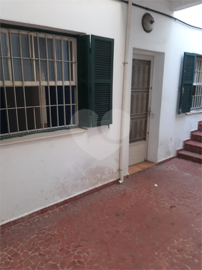 Foto REO542631