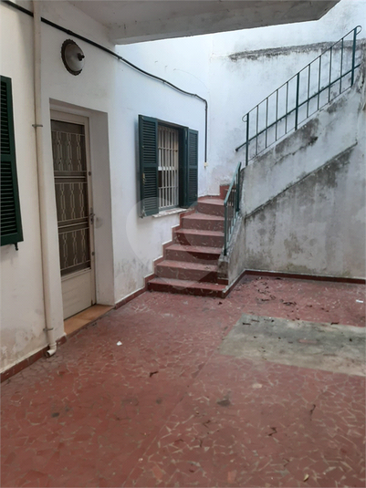 Foto REO542631