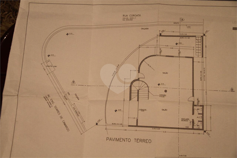 Foto REO542861