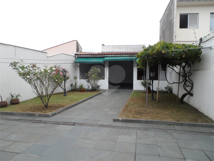 Foto REO543025