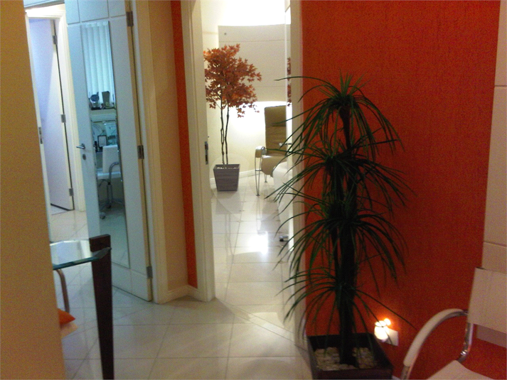 Foto REO543481
