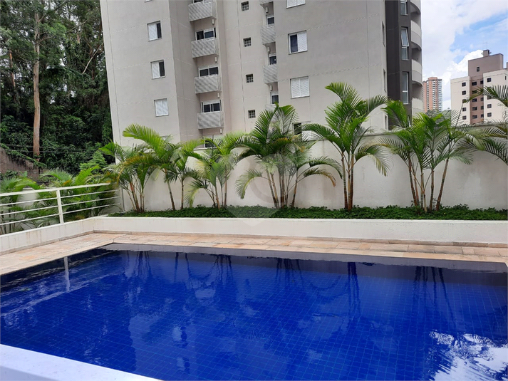 Foto REO543933