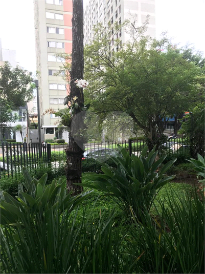 Foto REO543962