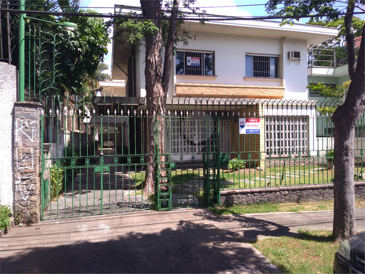 Foto REO544159