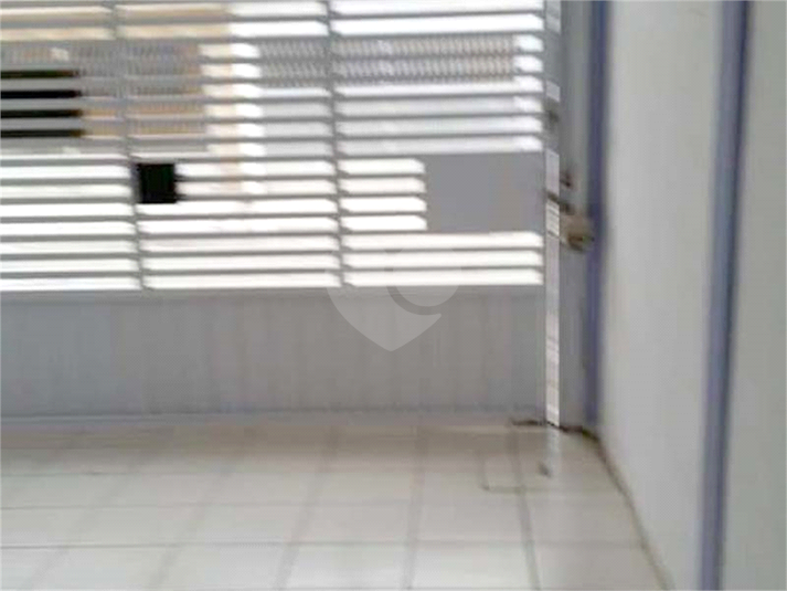Foto REO545362