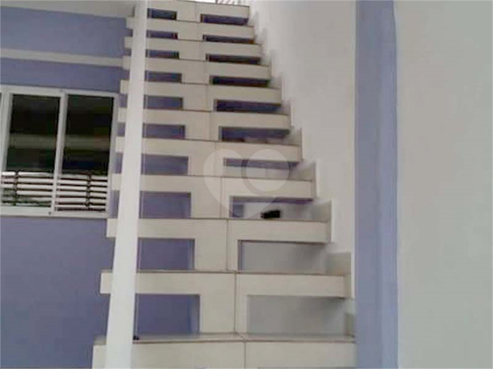 Foto REO545362