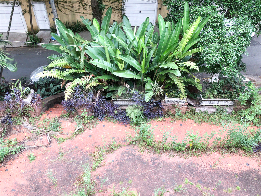 Venda Casa São Paulo Pacaembu REO546069 12