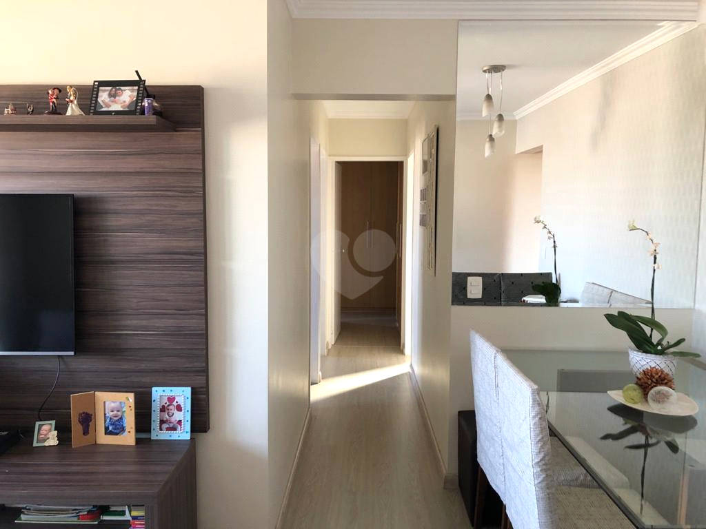 Venda Apartamento Campinas Ponte Preta REO546220 5