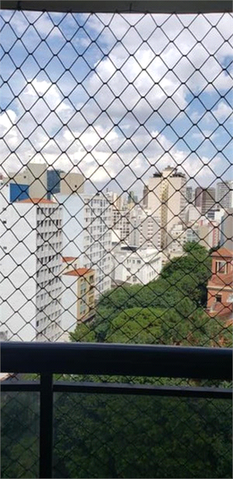 Foto REO546241