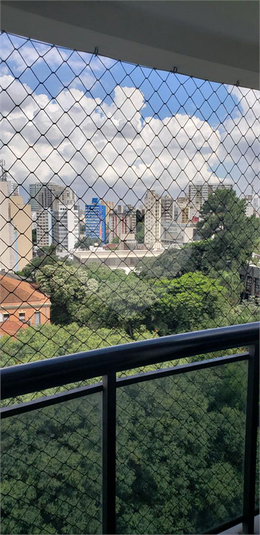 Foto REO546241