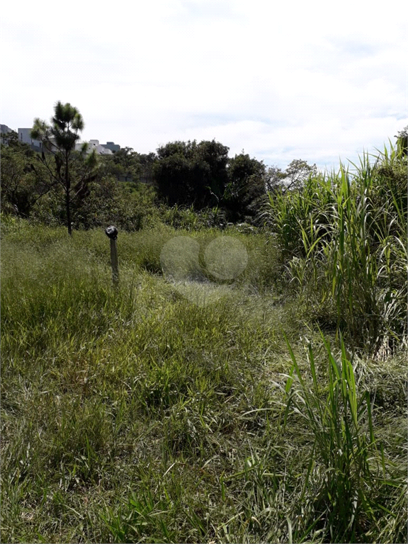 Venda Terreno Jundiaí Jardim Tarumã REO546921 3