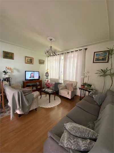 Foto REO547240