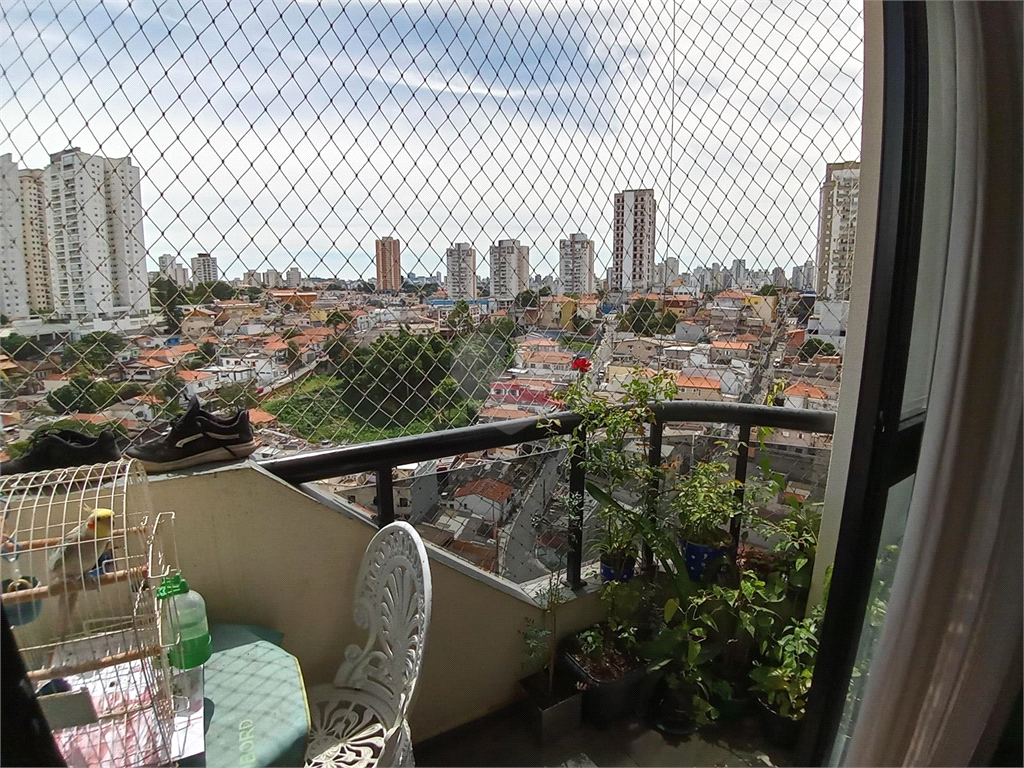 Venda Apartamento São Paulo Lauzane Paulista REO547777 1